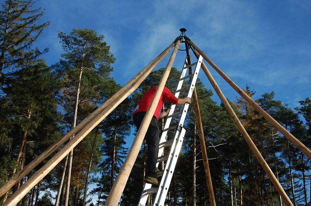 Start eines Aufbaus eines Alpentipis. Ein Mann steht auf einer Leiter zwischen den Stangen eines Tipis.